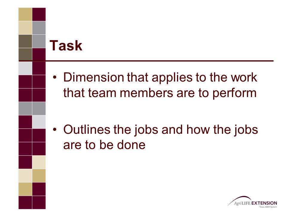 Task Dimension that applies to the work that team members are to perform Outlines the jobs and how the jobs are to be done