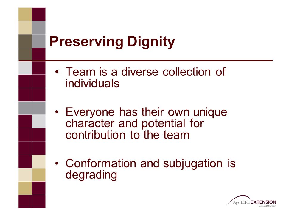 Preserving Dignity Team is a diverse collection of individuals Everyone has their own unique character and potential for contribution to the team Conformation and subjugation is degrading