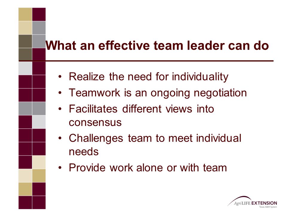 What an effective team leader can do Realize the need for individuality Teamwork is an ongoing negotiation Facilitates different views into consensus Challenges team to meet individual needs Provide work alone or with team