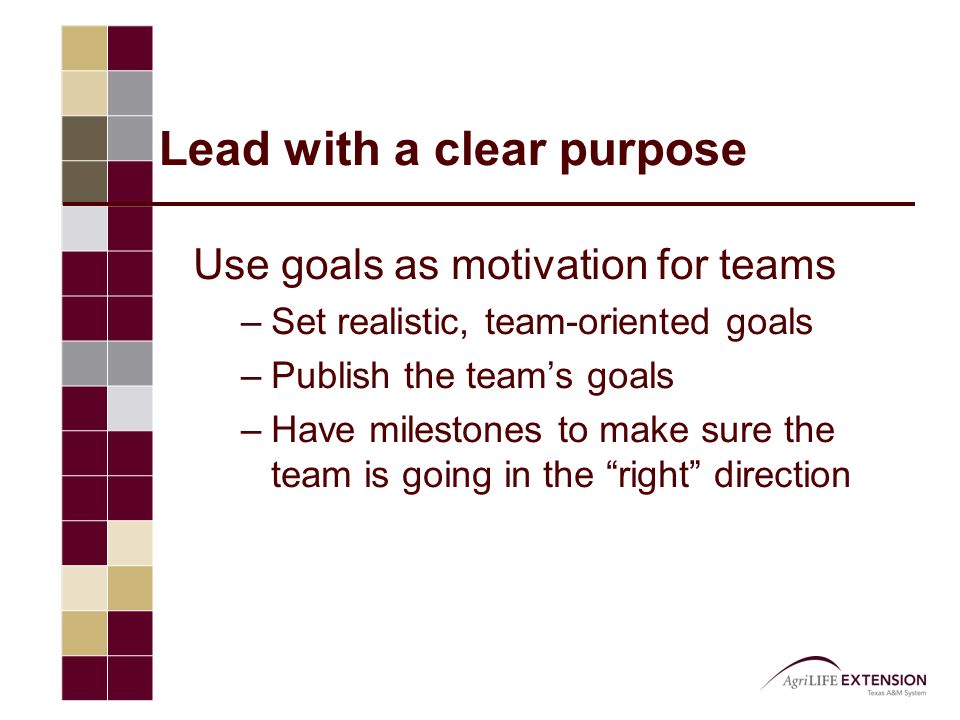 Lead with a clear purpose Use goals as motivation for teams –Set realistic, team-oriented goals –Publish the team’s goals –Have milestones to make sure the team is going in the right direction