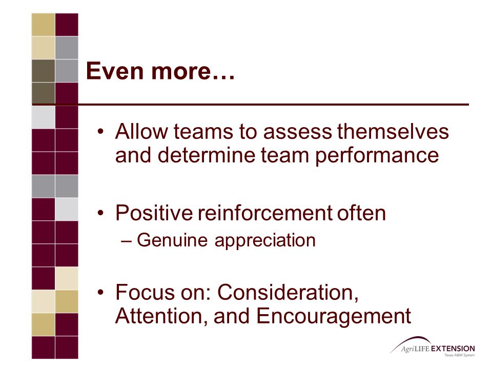 Even more… Allow teams to assess themselves and determine team performance Positive reinforcement often –Genuine appreciation Focus on: Consideration, Attention, and Encouragement