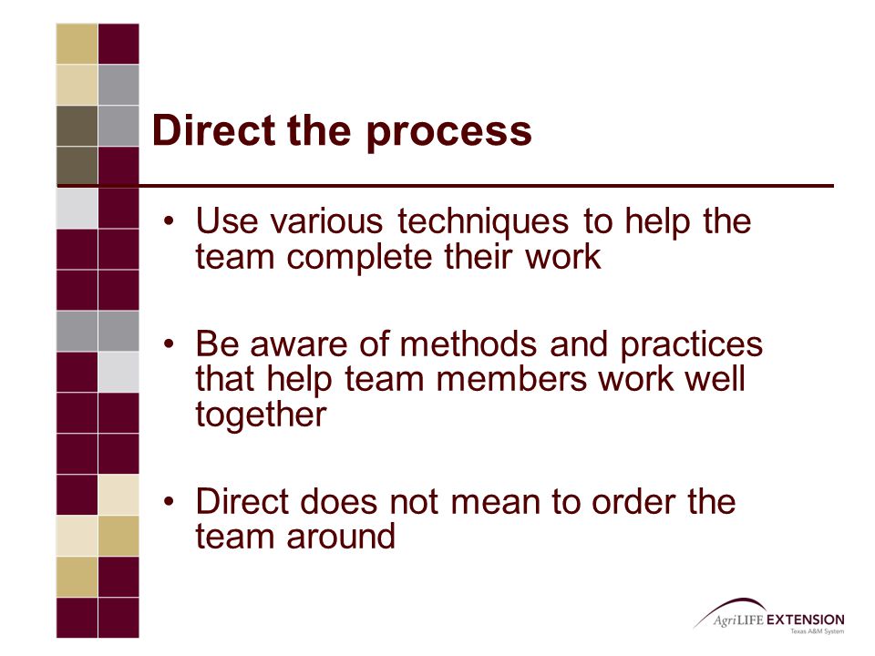 Direct the process Use various techniques to help the team complete their work Be aware of methods and practices that help team members work well together Direct does not mean to order the team around