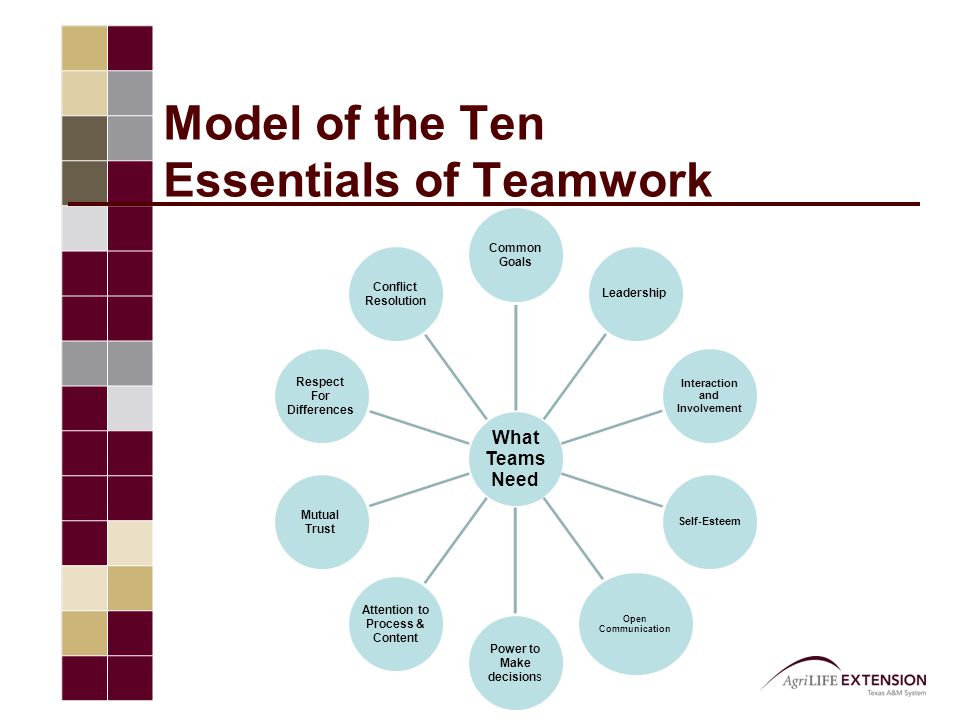 What Teams Need Common Goals Leadership Interaction and Involvement Self-Esteem Open Communication Power to Make decisions Attention to Process & Content Mutual Trust Respect For Differences Conflict Resolution Model of the Ten Essentials of Teamwork