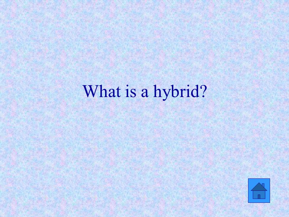 What is a hybrid