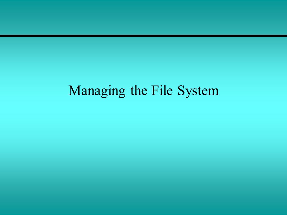 Managing the File System