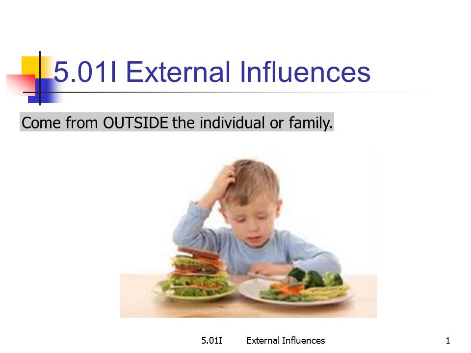 5.01IExternal Influences 1 Come from OUTSIDE the individual or family.