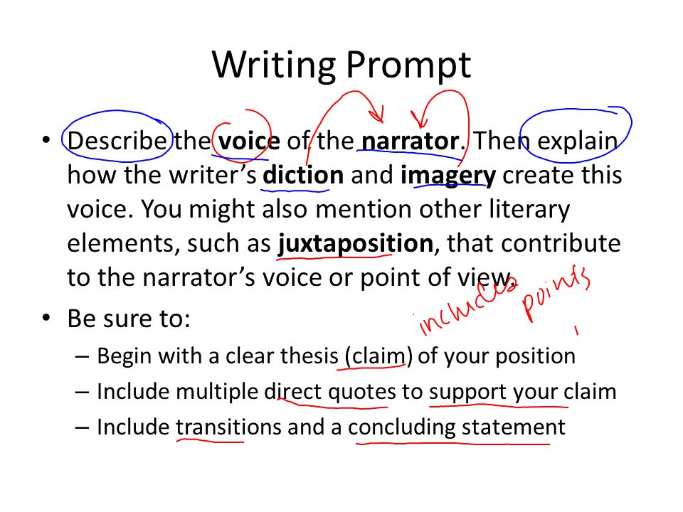 Volunteering essays