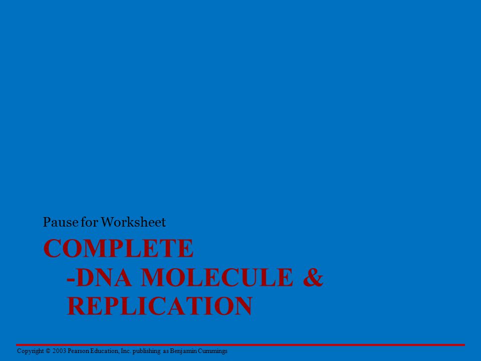 Pbs Dna The Secret Of Life Worksheet Sheet Page Pbs Dna The Secret Of Life Worksheet Sheet Page