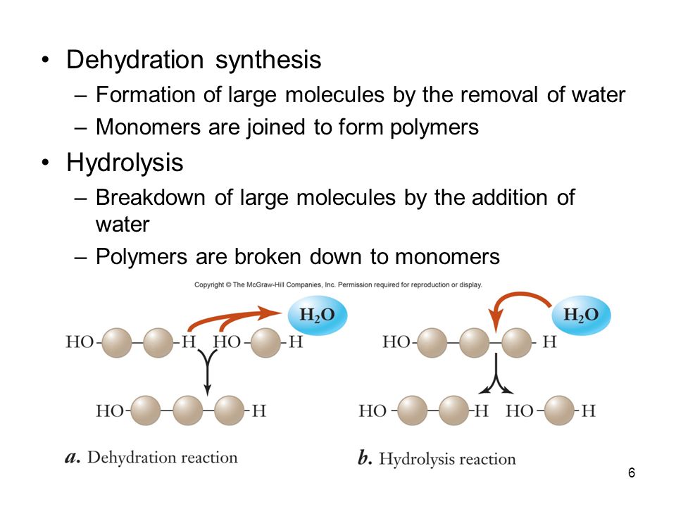 The Chemical Building Blocks Of Life Ppt Download 6 Dehydration Synthesis