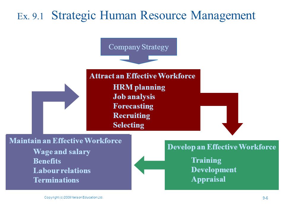 Ex. 9.1 Strategic Human Resource Management Copyright (c) 2009 Nelson Education Ltd.