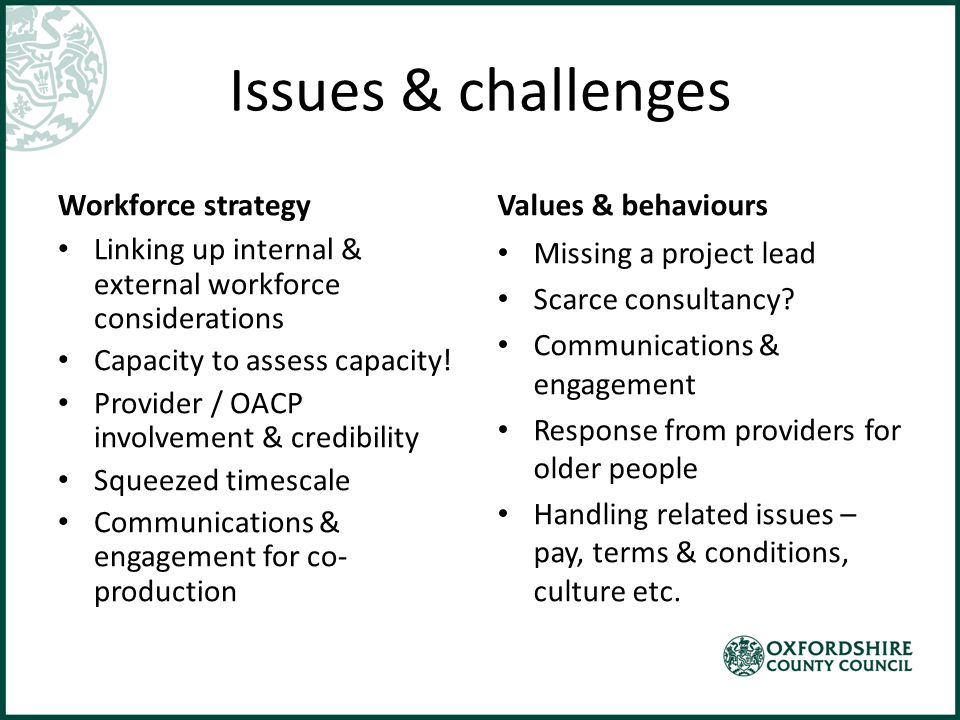 Issues & challenges Workforce strategy Linking up internal & external workforce considerations Capacity to assess capacity.