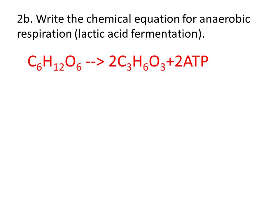 Lactic Acid Fermentation Equation Quizlet Talkchannels Chemical Equation For Fermentation Talkchannels