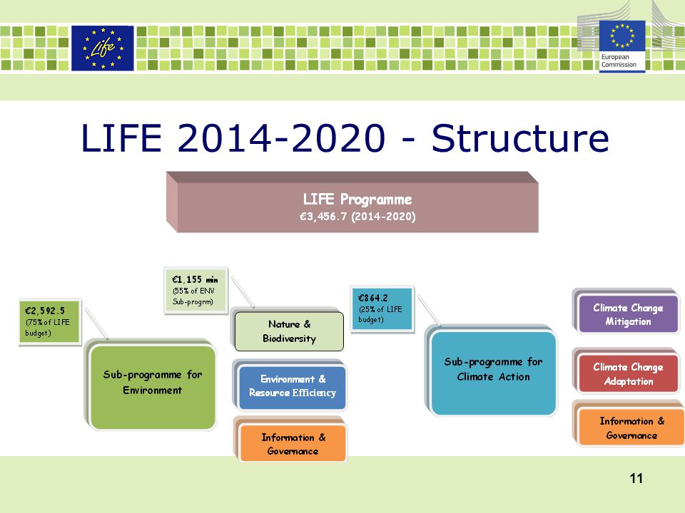 LIFE Structure 11