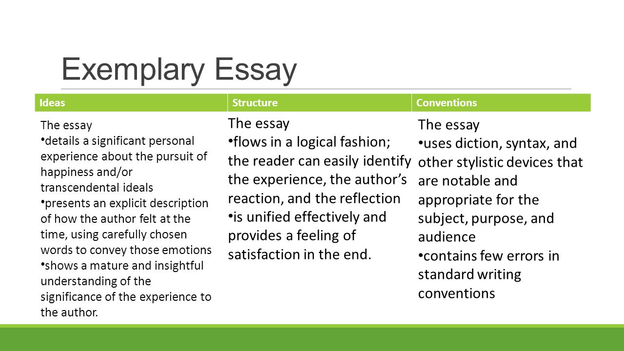 What is happiness essay pdf