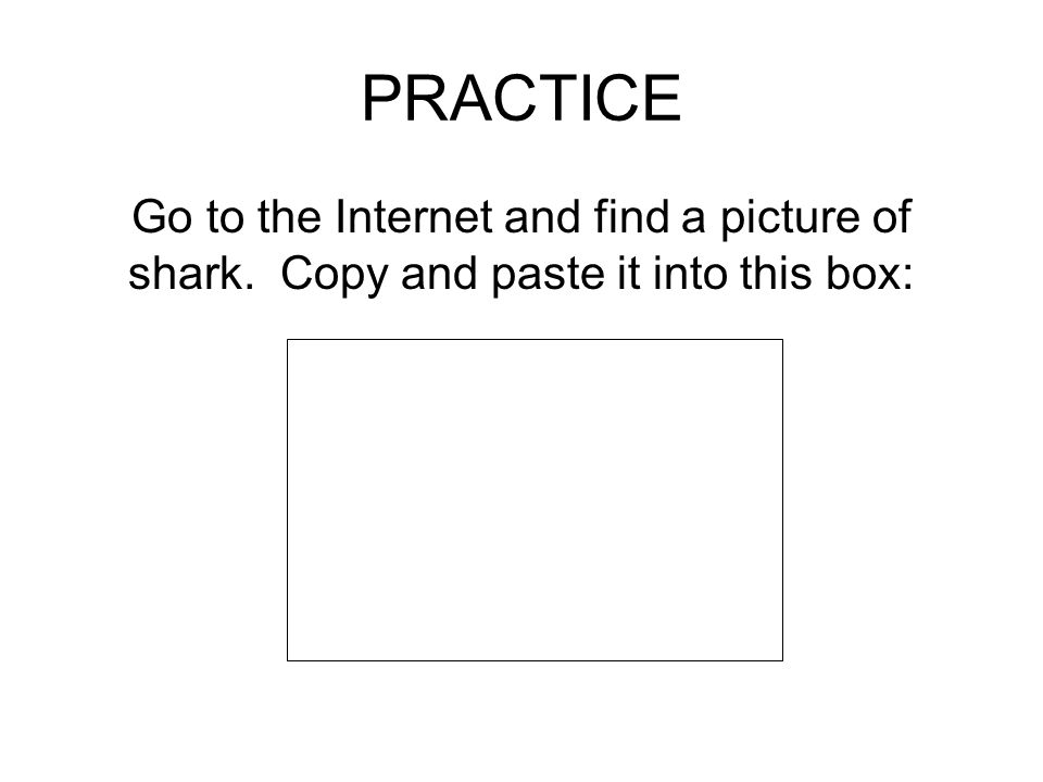 PRACTICE Go to the Internet and find a picture of shark. Copy and paste it into this box:
