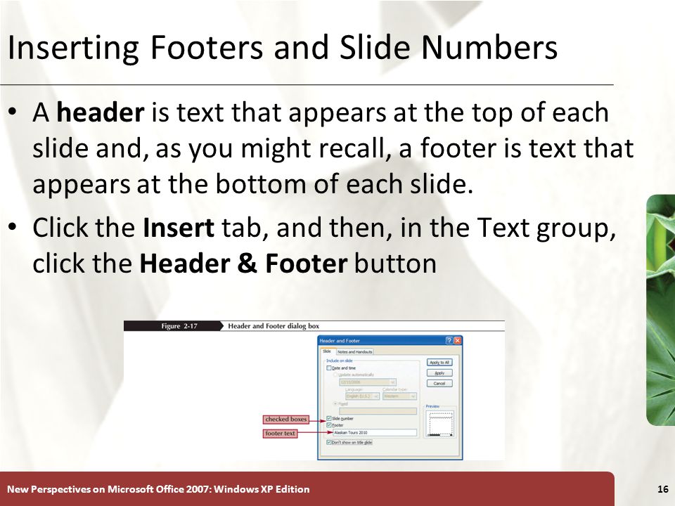 XP New Perspectives on Microsoft Office 2007: Windows XP Edition16 Inserting Footers and Slide Numbers A header is text that appears at the top of each slide and, as you might recall, a footer is text that appears at the bottom of each slide.