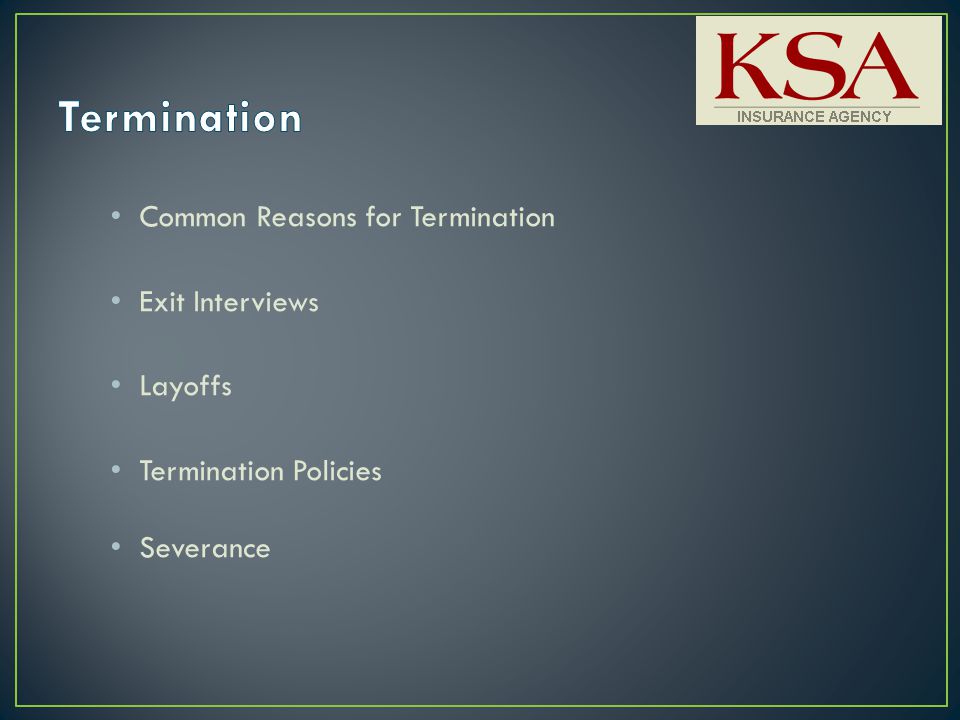 Common Reasons for Termination Exit Interviews Layoffs Termination Policies Severance