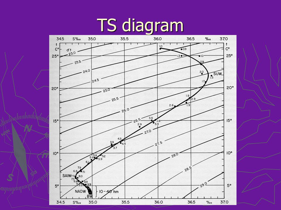 TS diagram