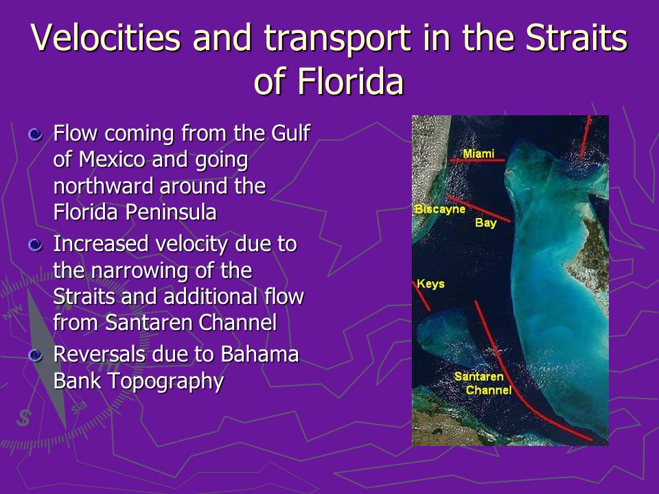 Velocities and transport in the Straits of Florida Flow coming from the Gulf of Mexico and going northward around the Florida Peninsula Increased velocity due to the narrowing of the Straits and additional flow from Santaren Channel Reversals due to Bahama Bank Topography