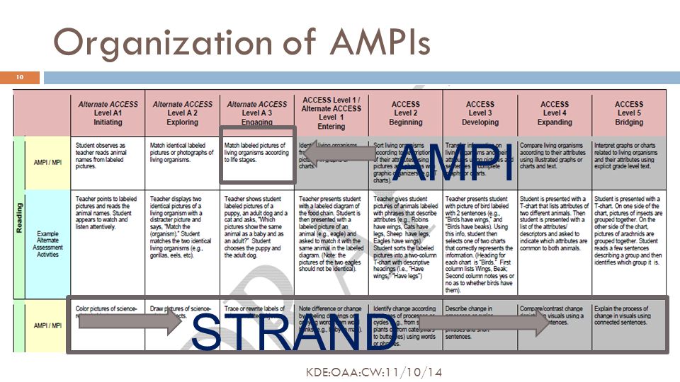 Organization of AMPIs AMPI STRAND 10 KDE:OAA:CW:11/10/14
