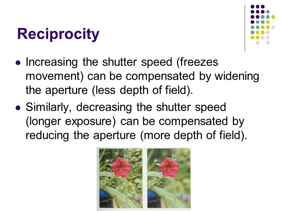 Reciprocity Increasing the shutter speed (freezes movement) can be compensated by widening the aperture (less depth of field).