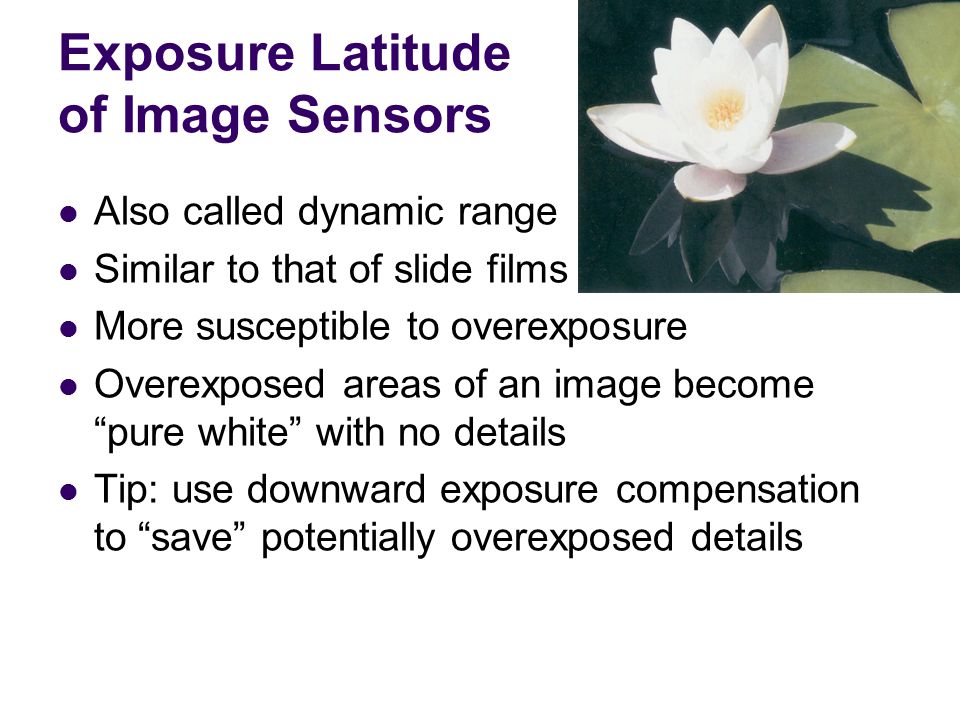 Exposure Latitude of Image Sensors Also called dynamic range Similar to that of slide films More susceptible to overexposure Overexposed areas of an image become pure white with no details Tip: use downward exposure compensation to save potentially overexposed details
