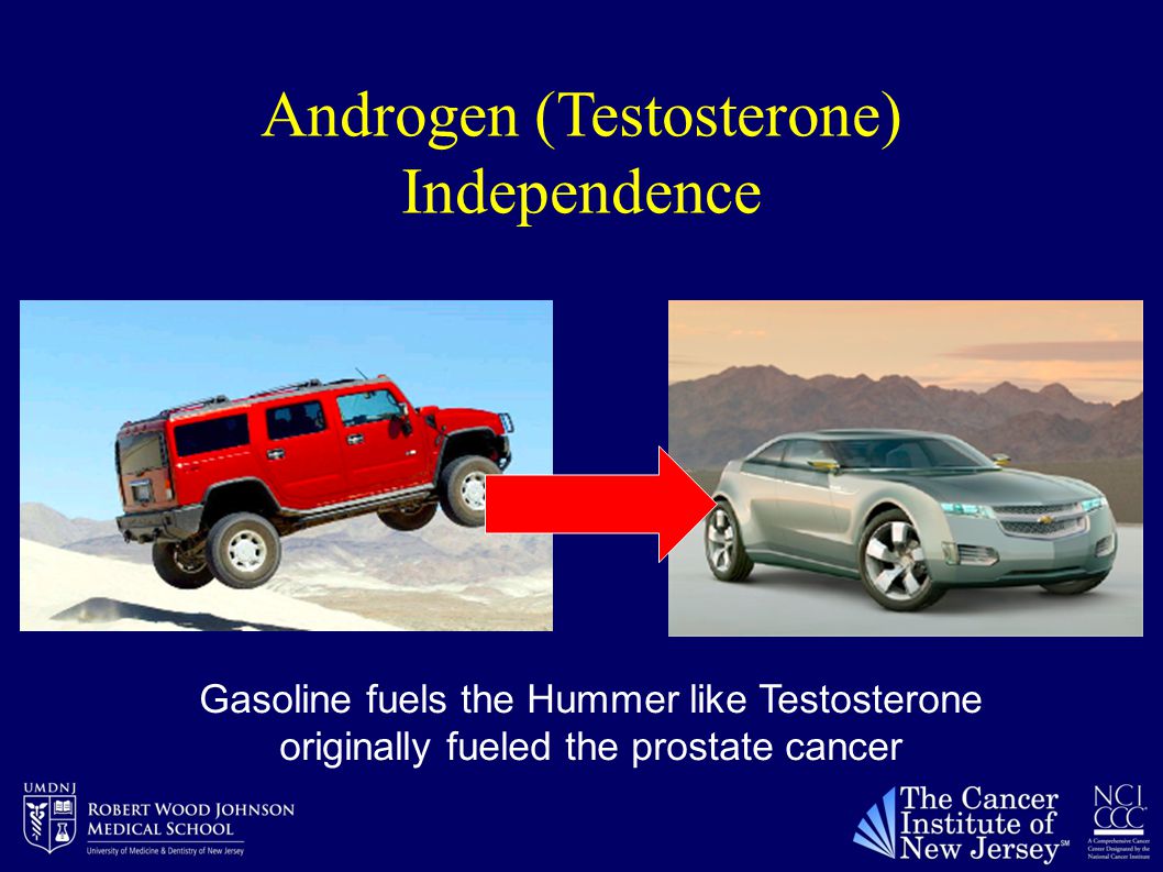 Androgen (Testosterone) Independence Gasoline fuels the Hummer like Testosterone originally fueled the prostate cancer