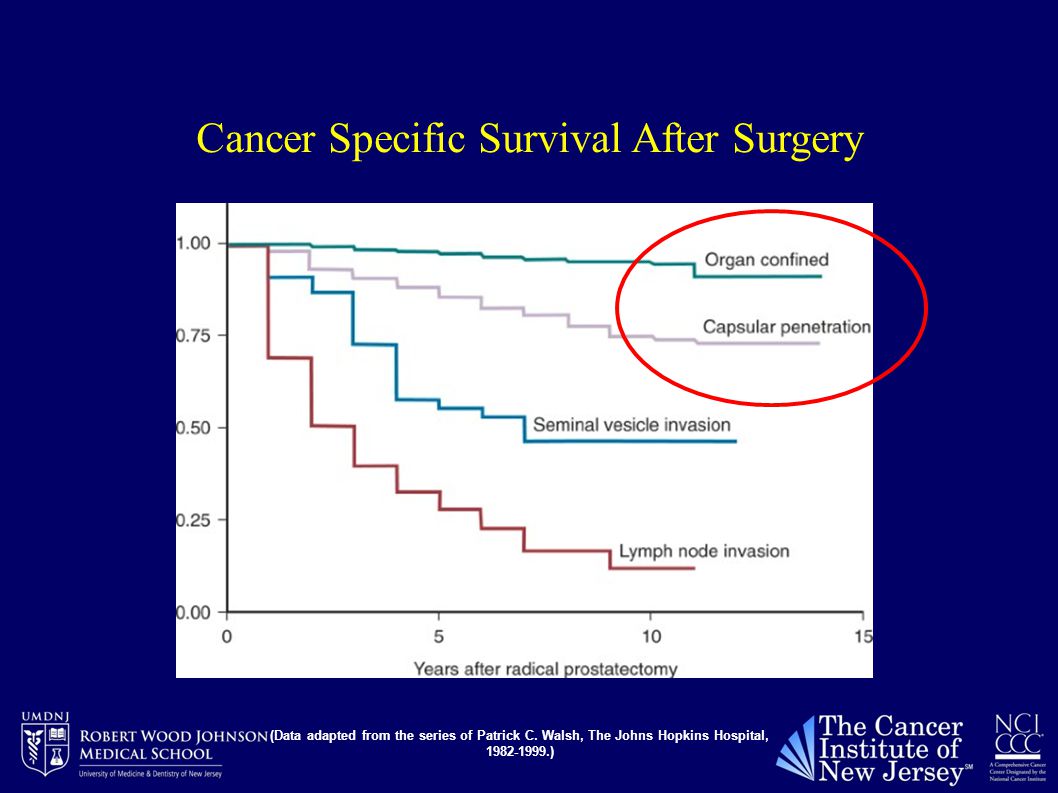 Cancer Specific Survival After Surgery (Data adapted from the series of Patrick C.