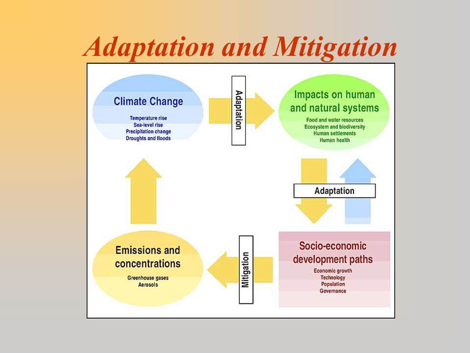 Adaptation and Mitigation