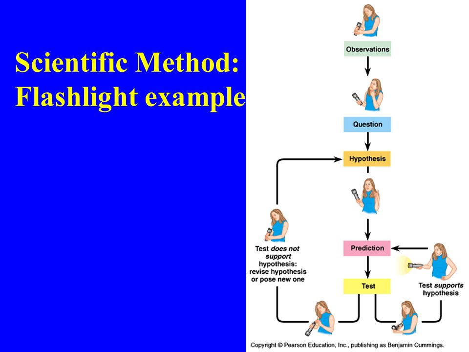Scientific Method: a Flashlight example