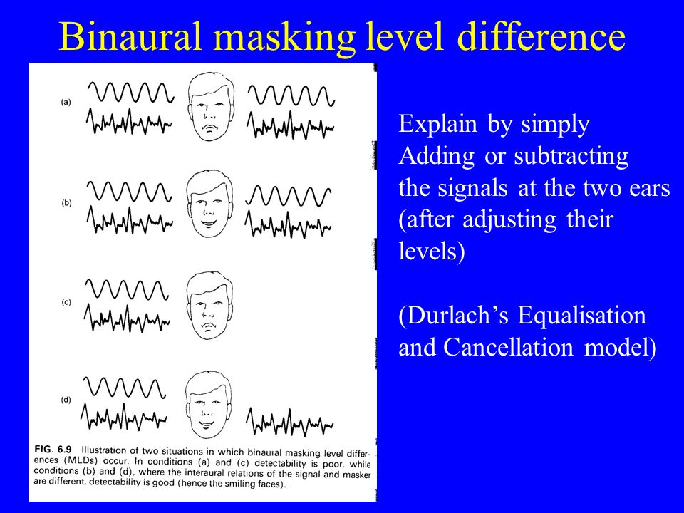 Hearing & Deafness (3) Auditory Localisation - ppt download