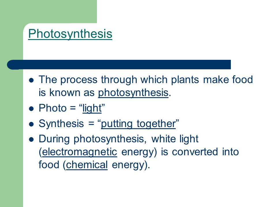 Photosynthesis The process through which plants make food is known as photosynthesis.