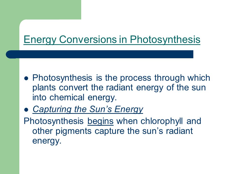 Energy Conversions in Photosynthesis Photosynthesis is the process through which plants convert the radiant energy of the sun into chemical energy.