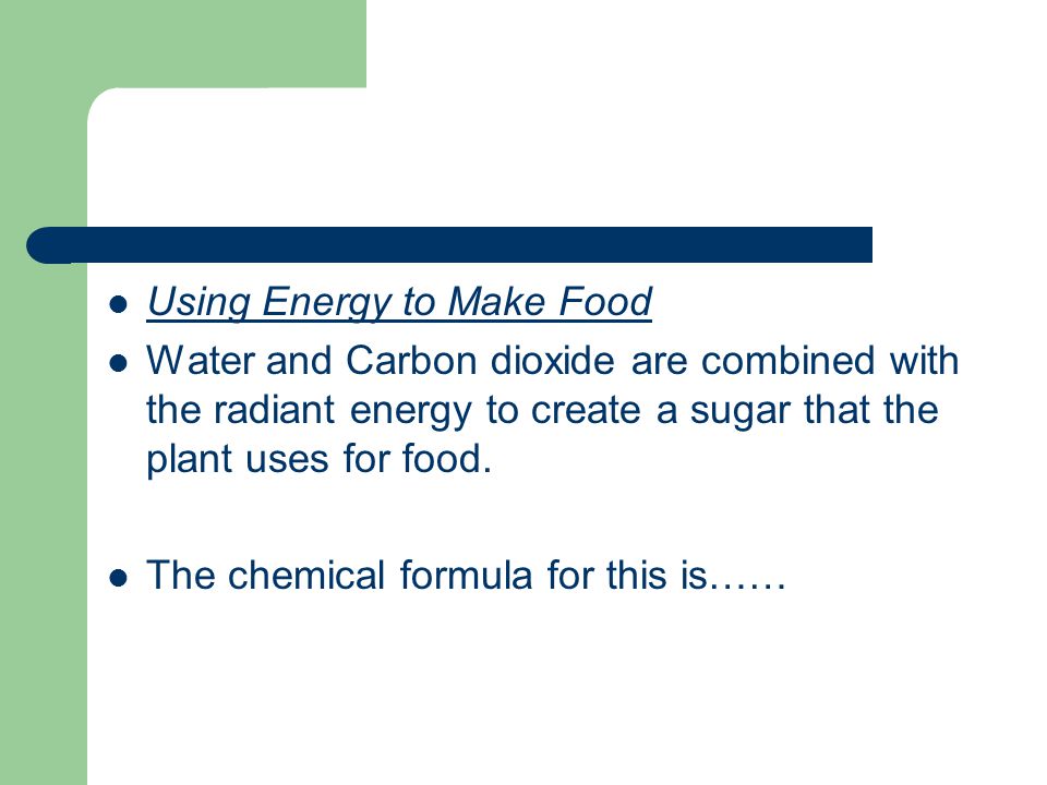Using Energy to Make Food Water and Carbon dioxide are combined with the radiant energy to create a sugar that the plant uses for food.
