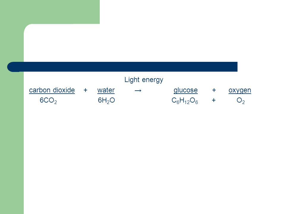 Light energy carbon dioxide + water → glucose + oxygen 6CO 2 6H 2 OC 6 H 12 O 6 + O 2