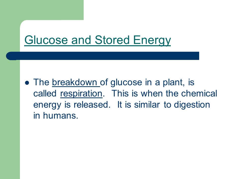 Glucose and Stored Energy The breakdown of glucose in a plant, is called respiration.