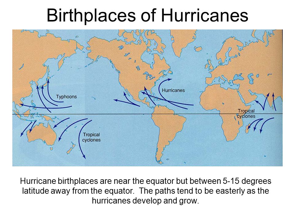 Birthplaces of Hurricanes Hurricane birthplaces are near the equator but between 5-15 degrees latitude away from the equator.