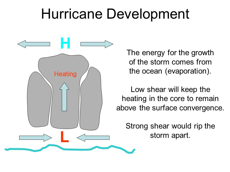 Hurricane Development L H Heating The energy for the growth of the storm comes from the ocean (evaporation).