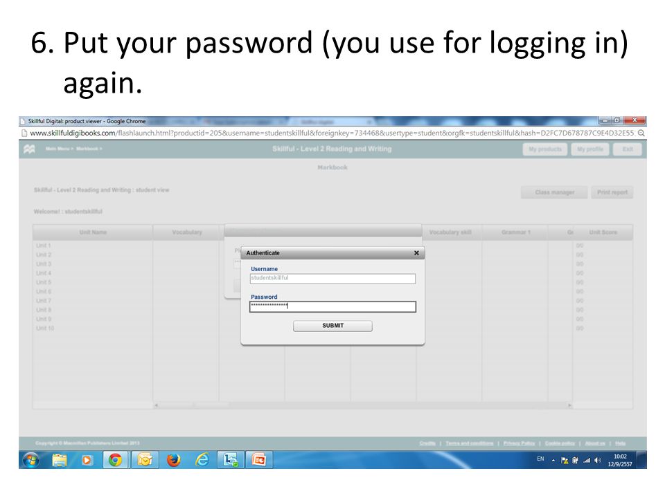 6. Put your password (you use for logging in) again.