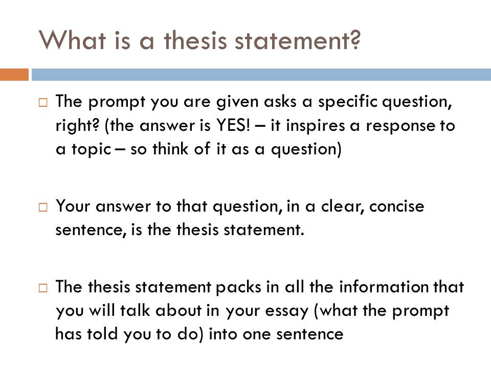 How important is a thesis statement in an essay