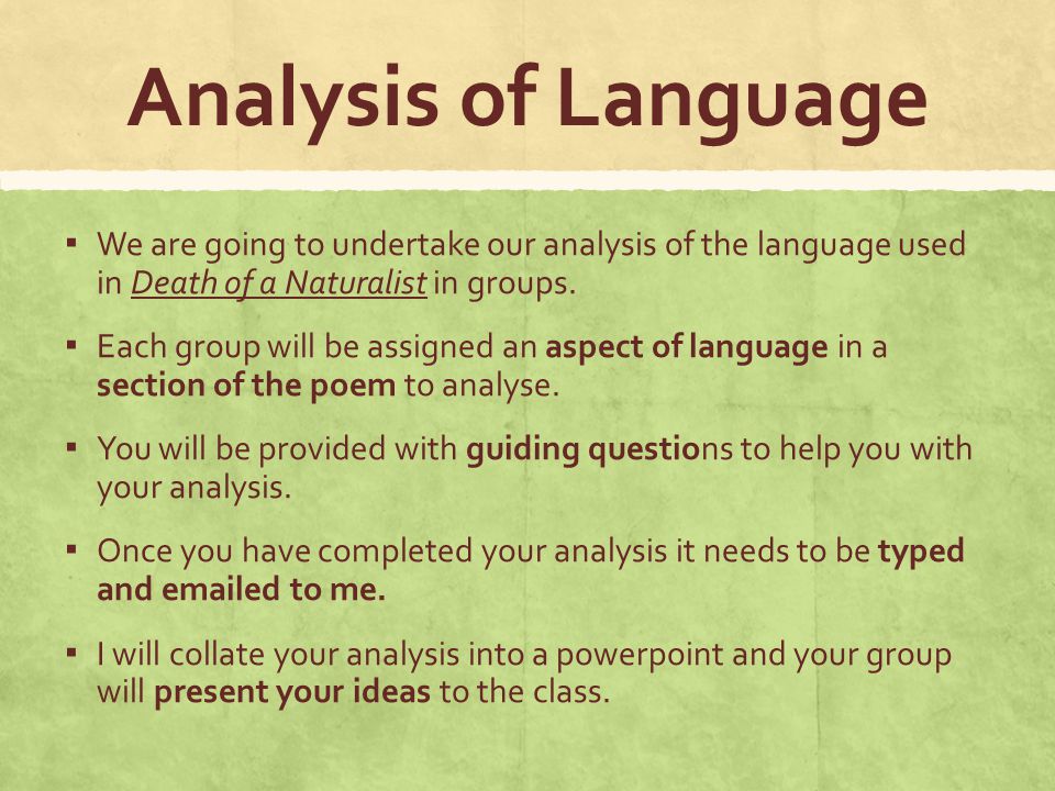 economic naturalist essay questions economic naturalist essay questions