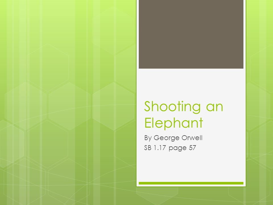What is the thesis statement in the essay shooting an elephant