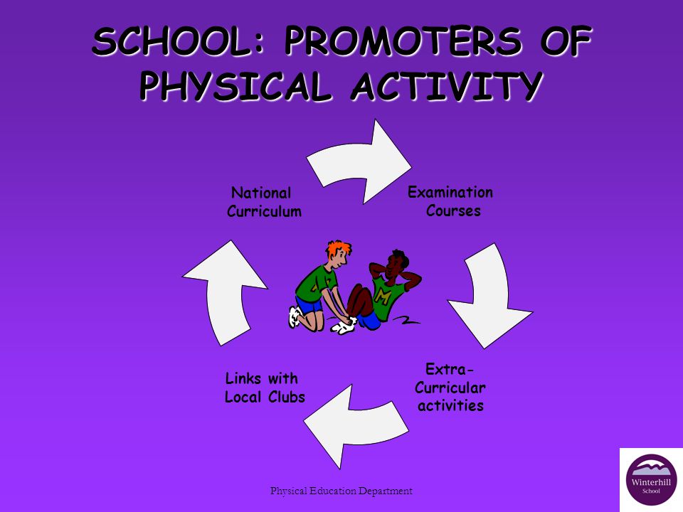 Physical Education Department SCHOOL: PROMOTERS OF PHYSICAL ACTIVITY Examination Courses Extra- Curricular activities Links with Local Clubs National Curriculum