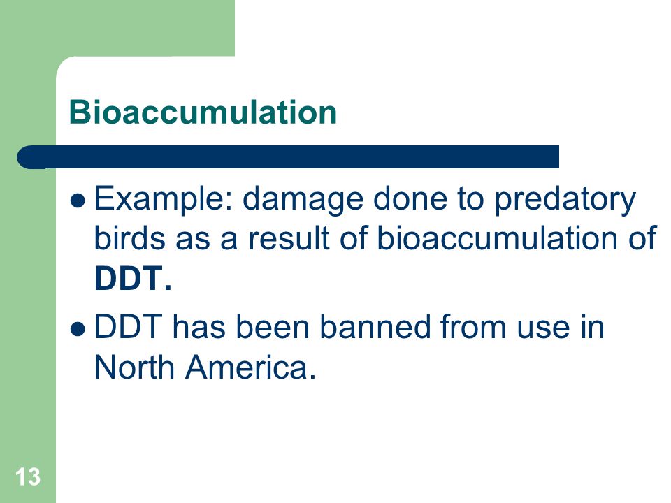 13 Bioaccumulation Example: damage done to predatory birds as a result of bioaccumulation of DDT.