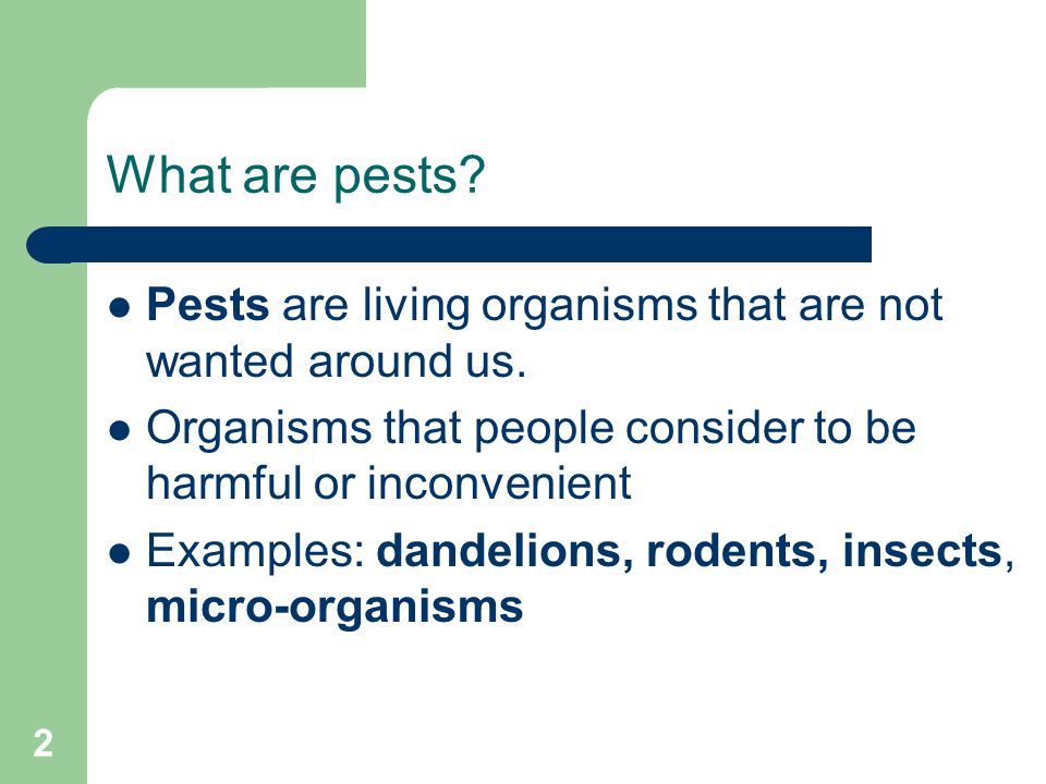 2 What are pests. Pests are living organisms that are not wanted around us.