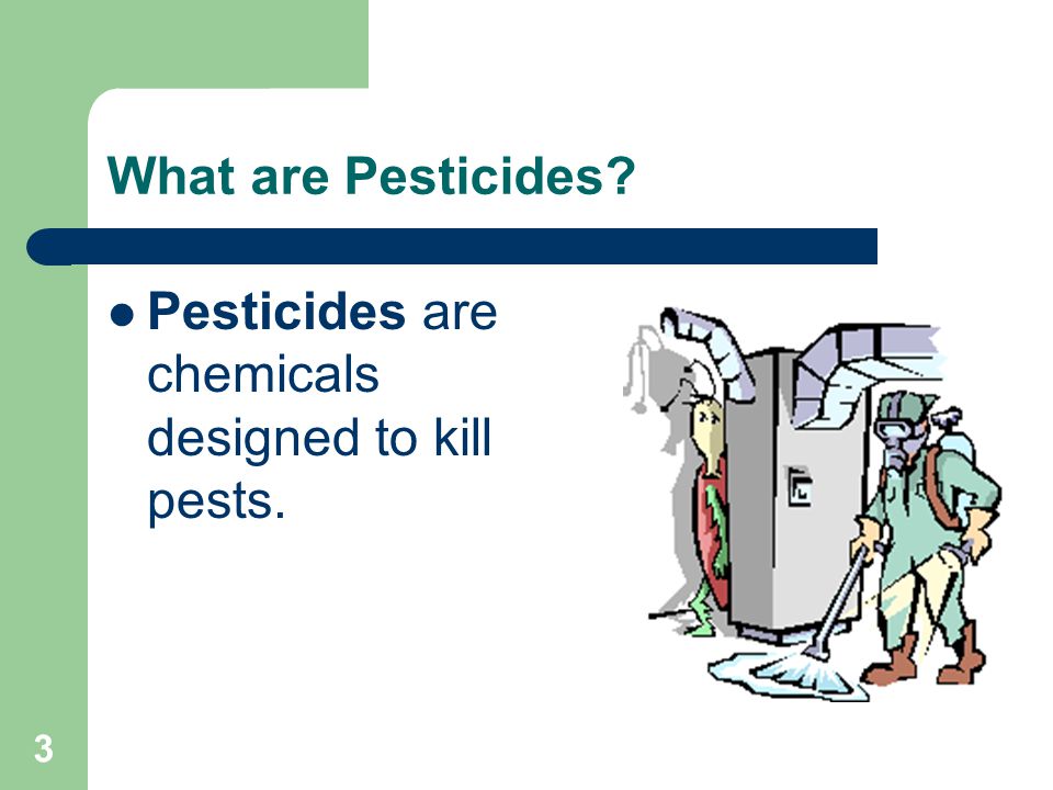 3 What are Pesticides Pesticides are chemicals designed to kill pests.