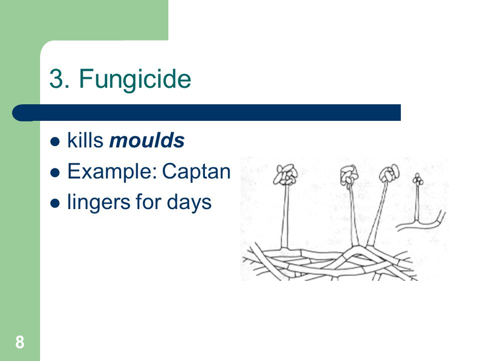 8 3. Fungicide kills moulds Example: Captan lingers for days