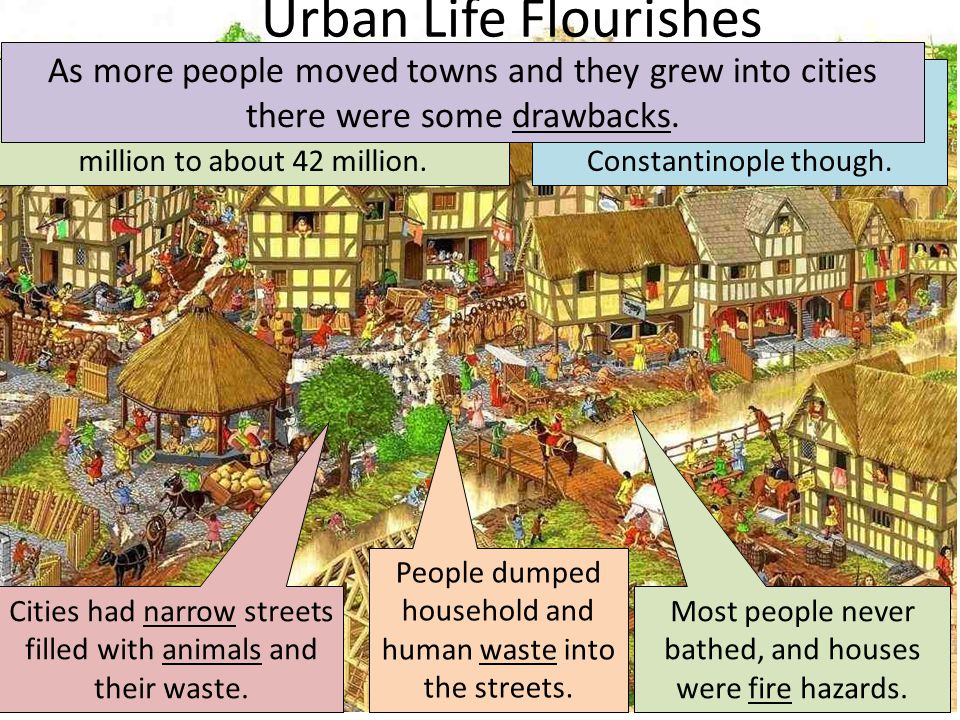 Urban Life Flourishes From , the population of Western Europe rose from around 30 million to about 42 million.