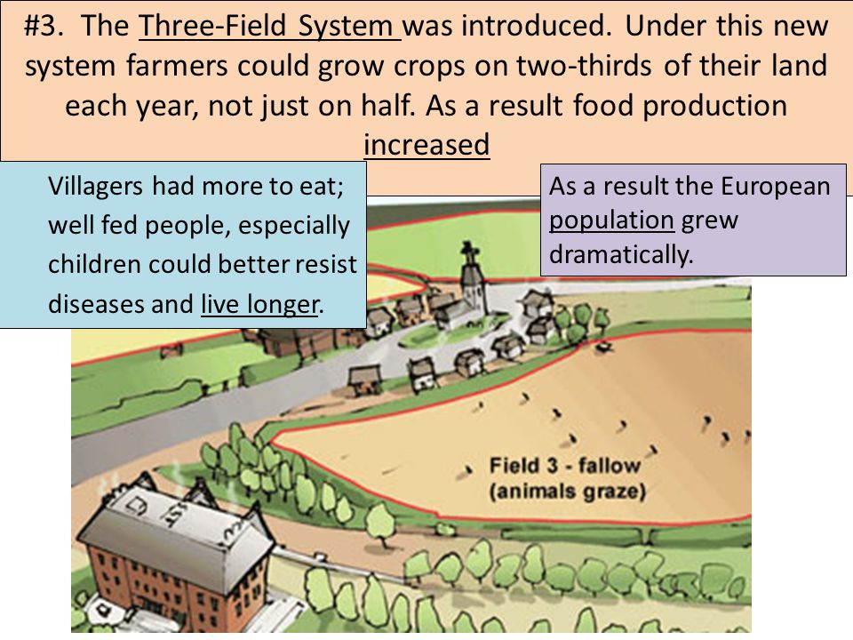 #3. The Three-Field System was introduced.