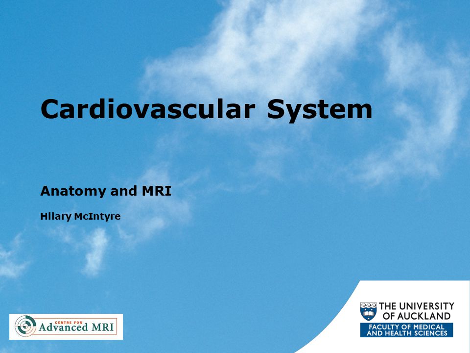 Cardiovascular System Anatomy and MRI Hilary McIntyre